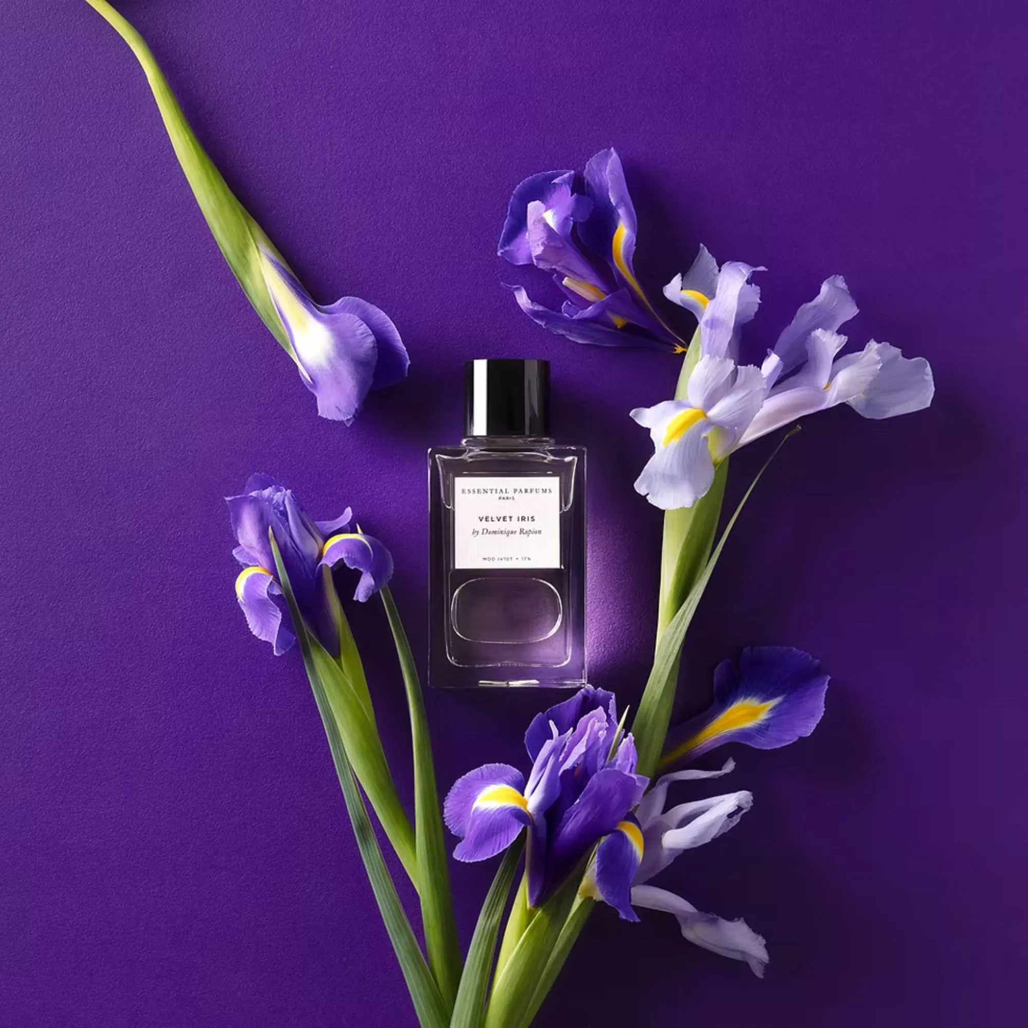 最新　ESSENTIAL PARFUMS VELVET IRIS 100ml Essential Parfums VELVET IRIS - 100MLV EDP Rechargeable