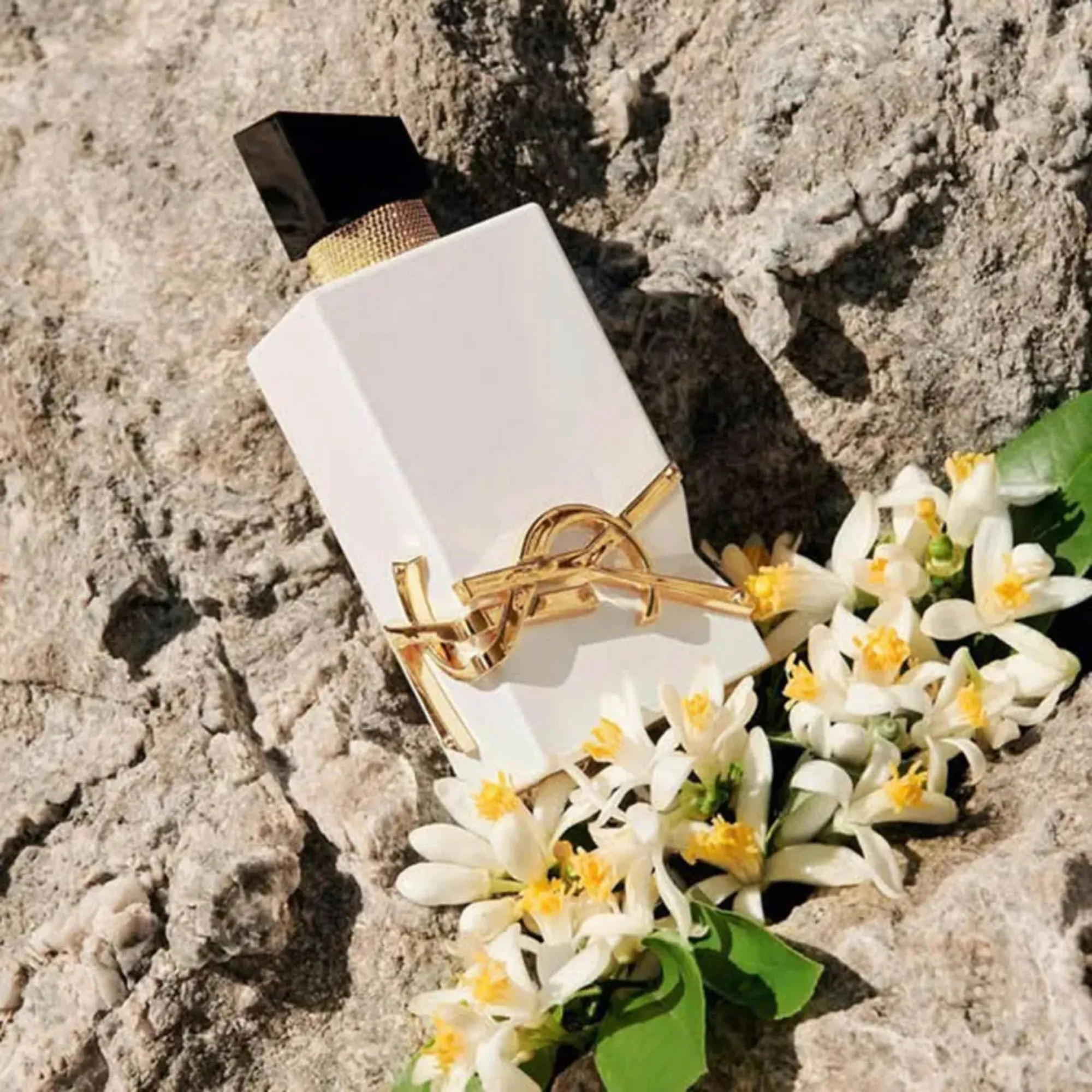 Libre L’Eau Nue YVES SAINT LAURENT 90 ml buy in Armenia | LIFESTYLE PERFUME