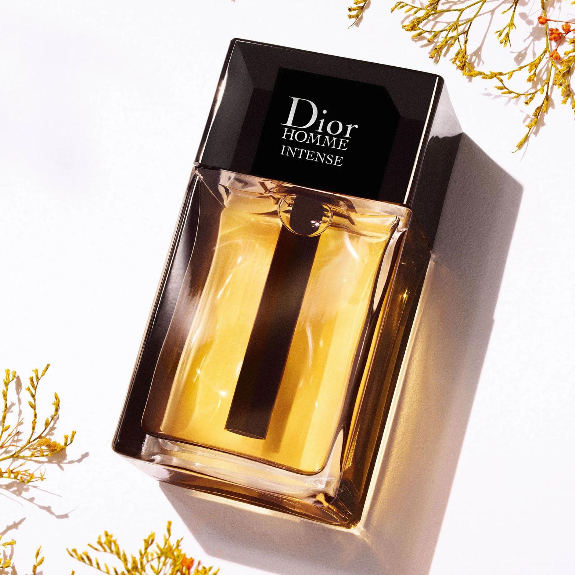 home intense dior