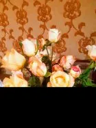 Product reviews Pop Heart — Թեհմինա Ղազարյան